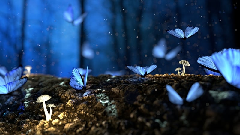 Enchanted Forest Vibes