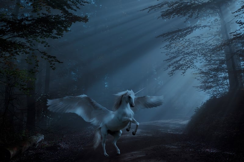 Unicorn Riding